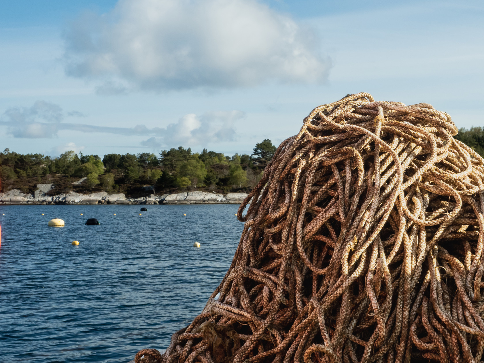 Ocean background and ropes