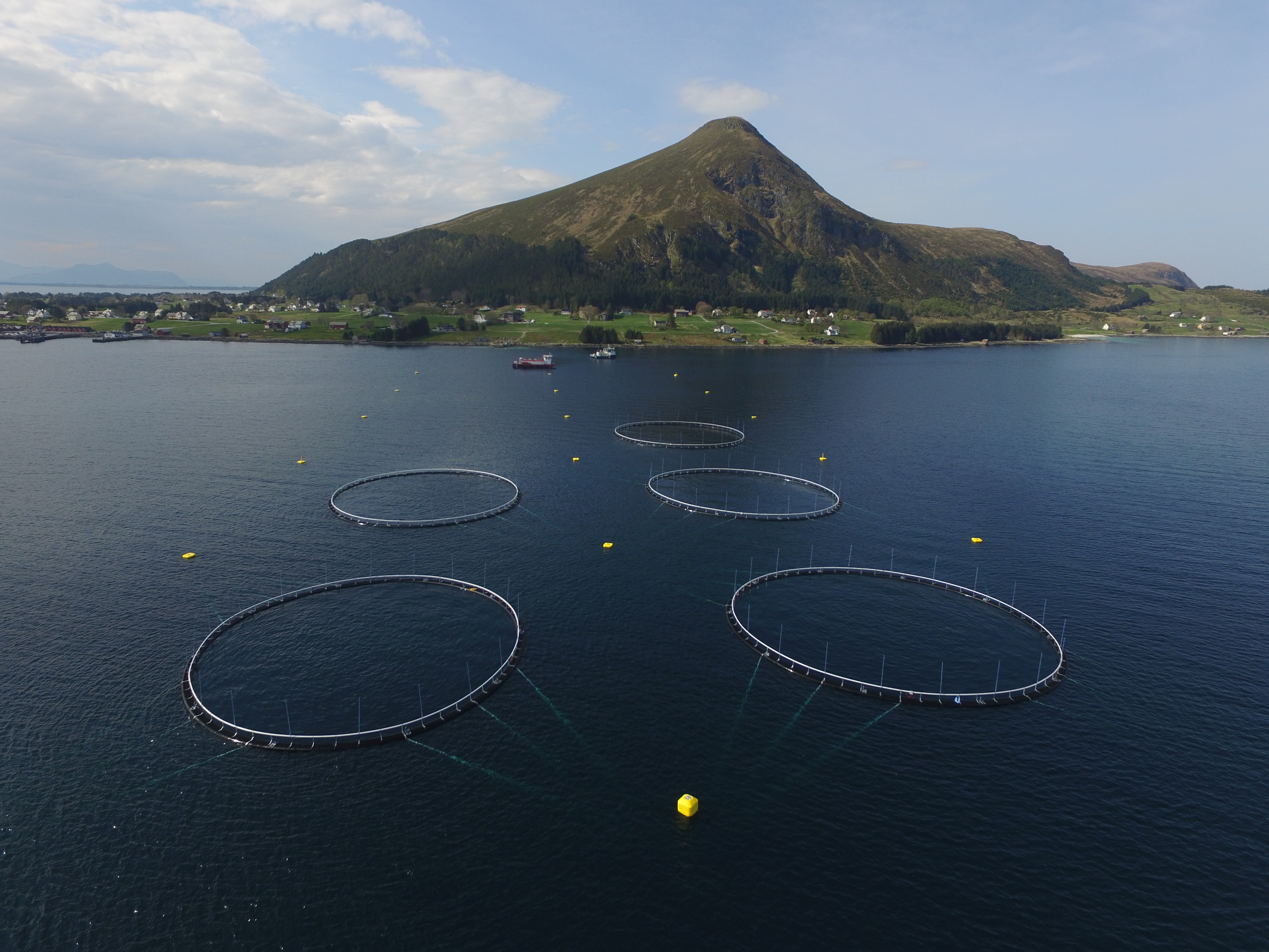 Bilde av merder sett ovenfra, i midten av bilde øverst ser man en fjelltopp. 